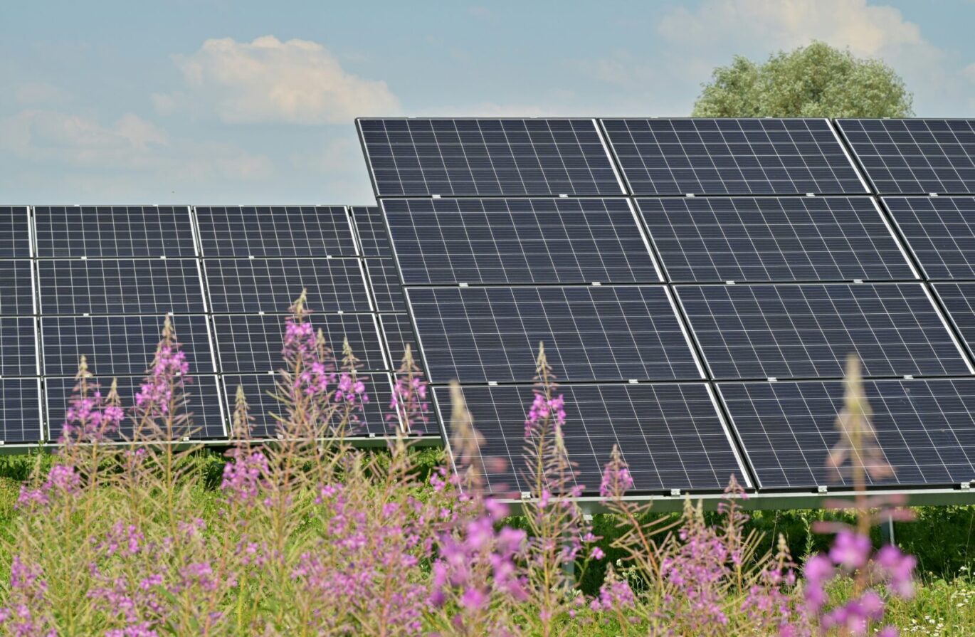 Landbouw veld zonnepanelen