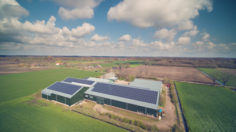 zonnepanelen sloetjes halle