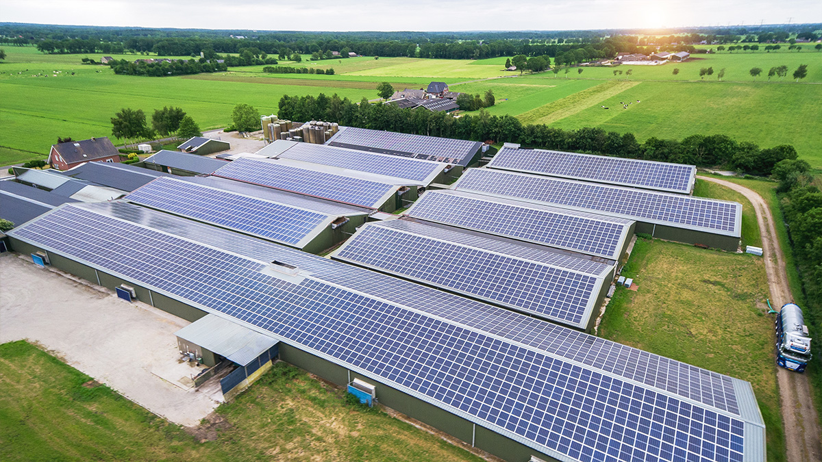 hogenkamp zonnepanelen oudleusden