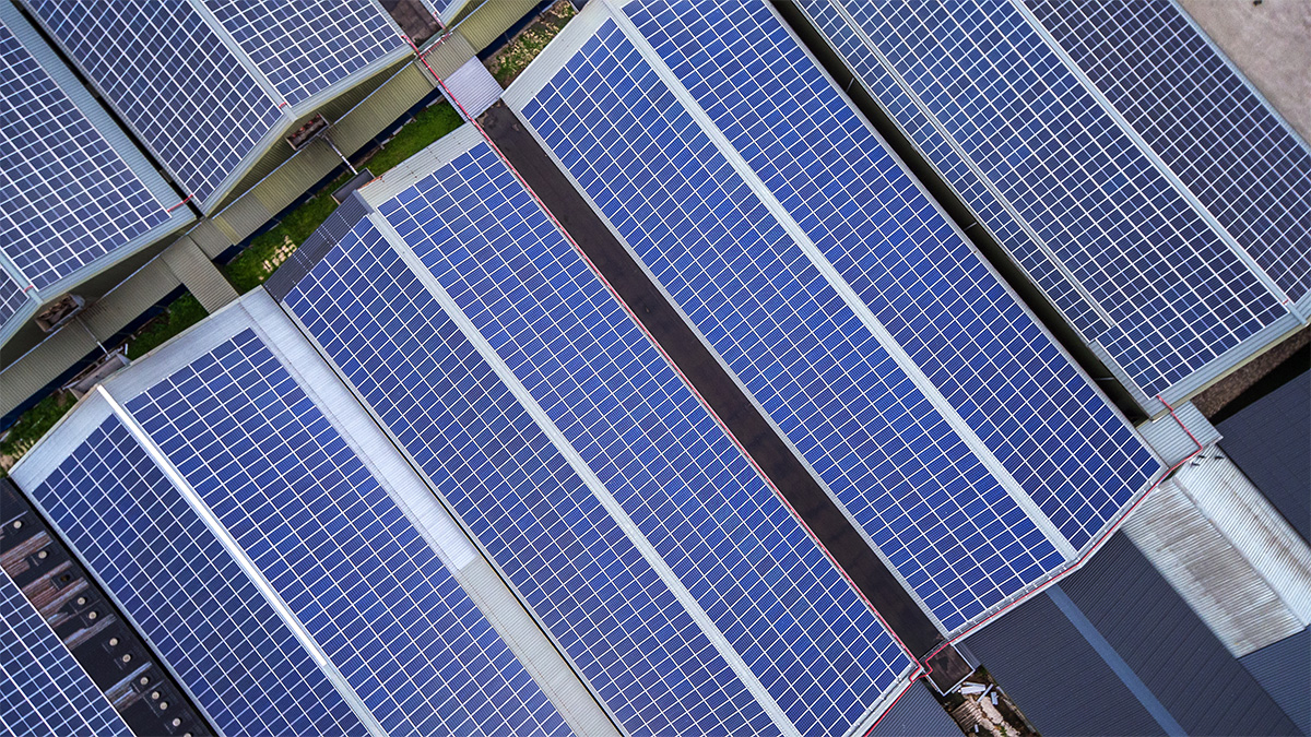 hogenkamp zonnepanelen oudleusden