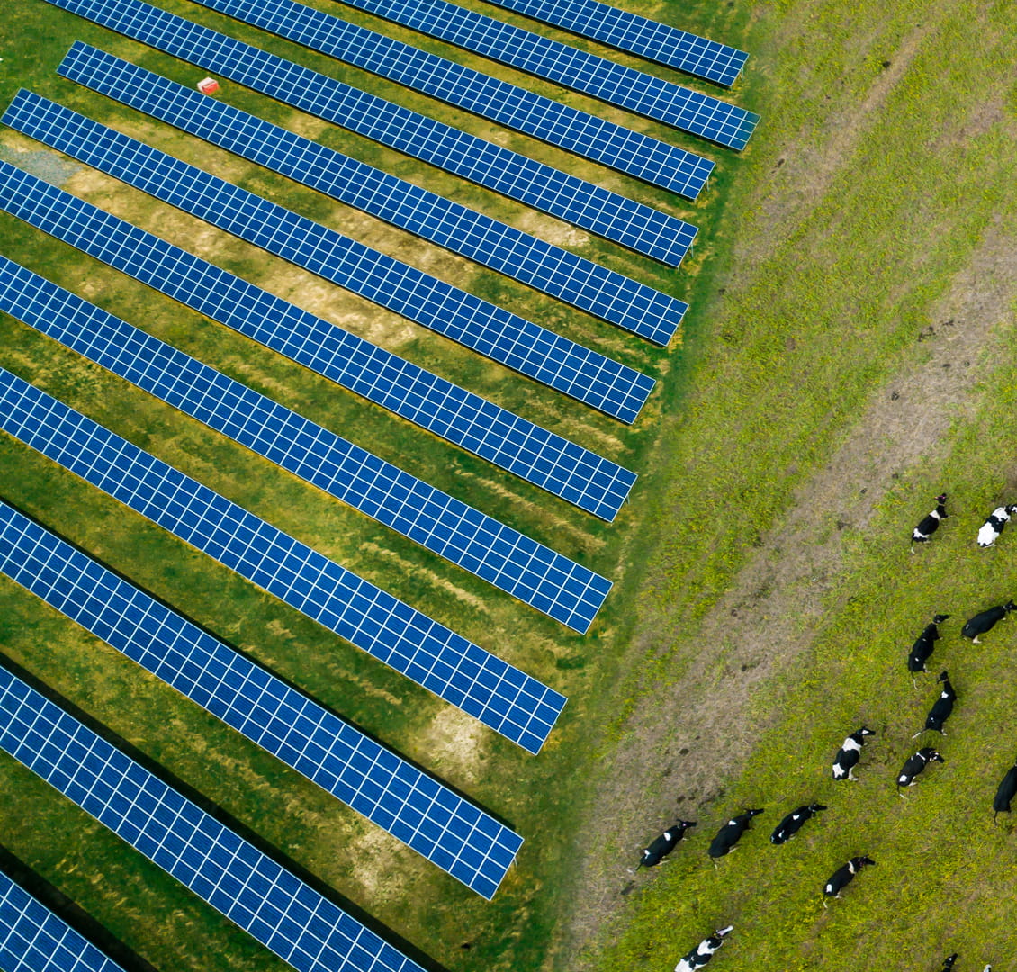 agri-pv energy shift