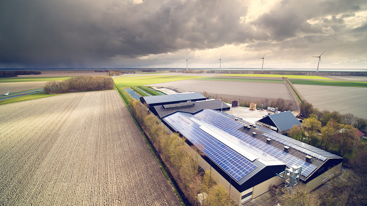 schutte zonnepanelen nagele