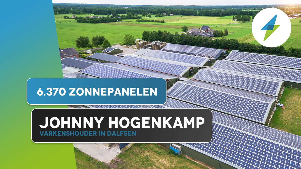 video zonnepanelen hogenkamp varkens