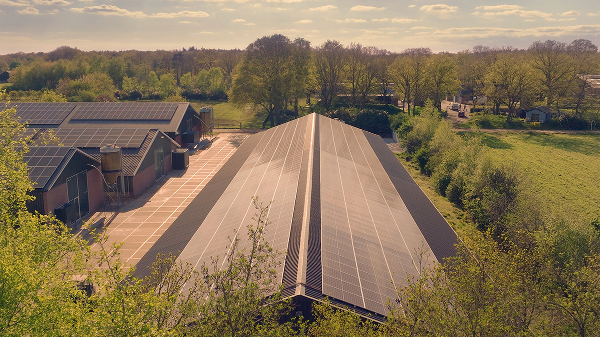 wikselaar accu en zonnepanelen nijkerk