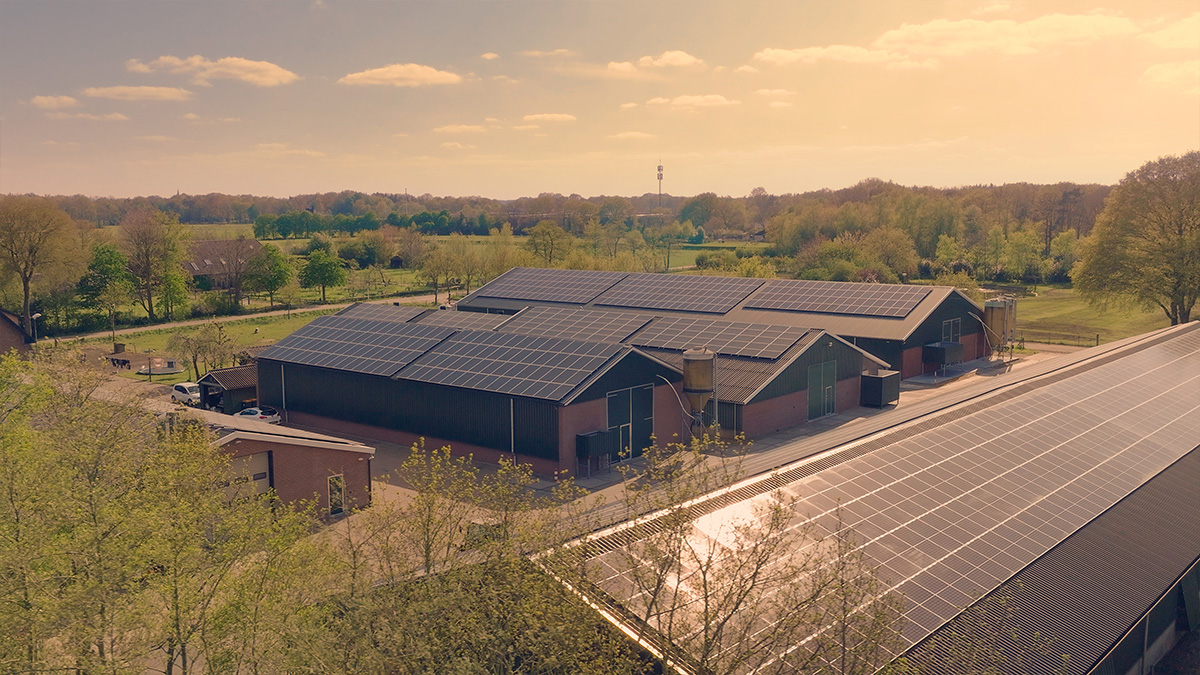 wikselaar accu en zonnepanelen nijkerk