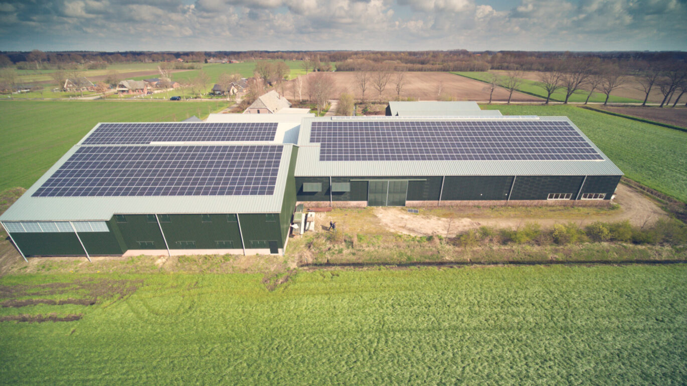 Sloetjes zonnepanelen dak