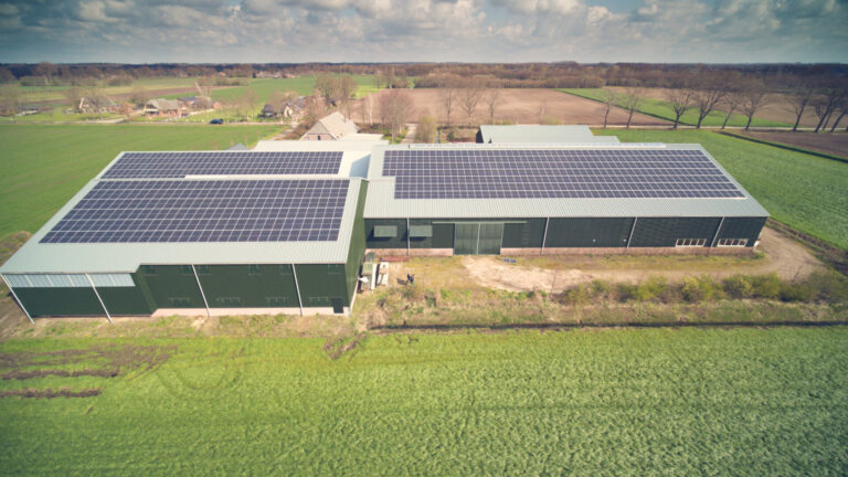 Sloetjes zonnepanelen dak