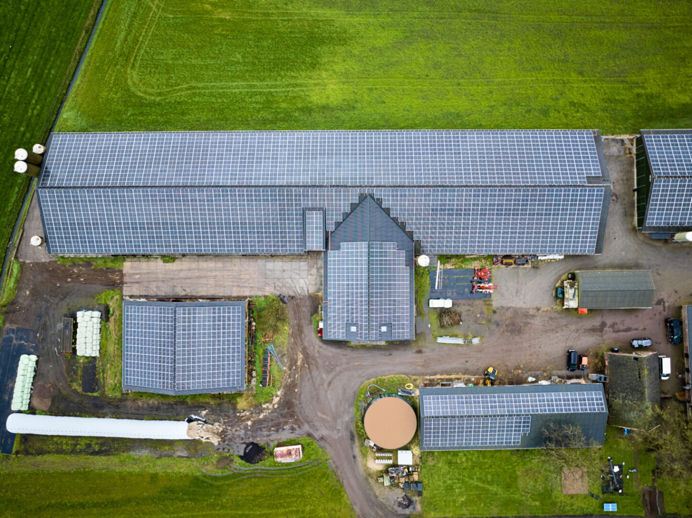 zonnepanelen de nieuwe riet