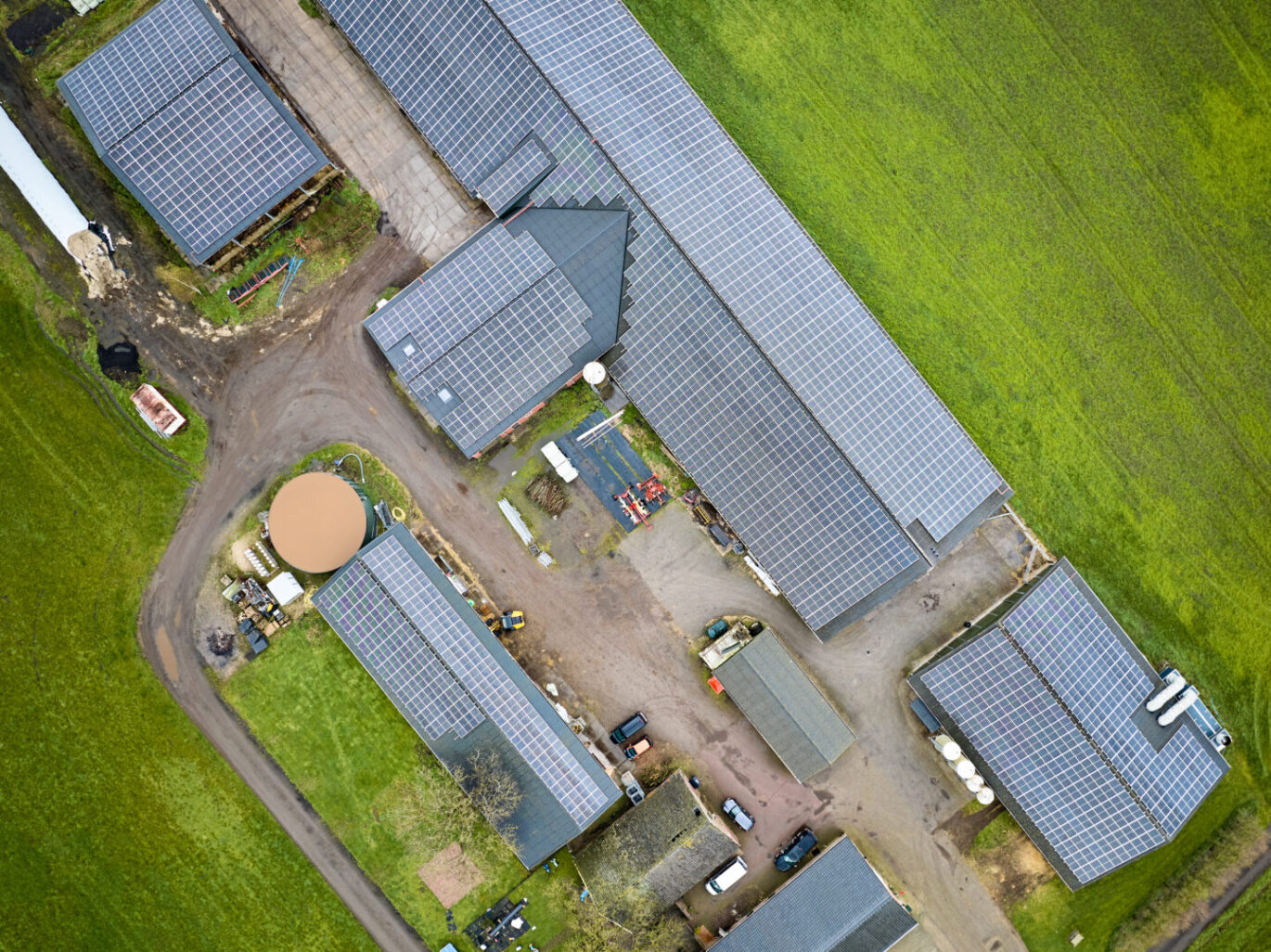 zonnepanelen de nieuwe riet