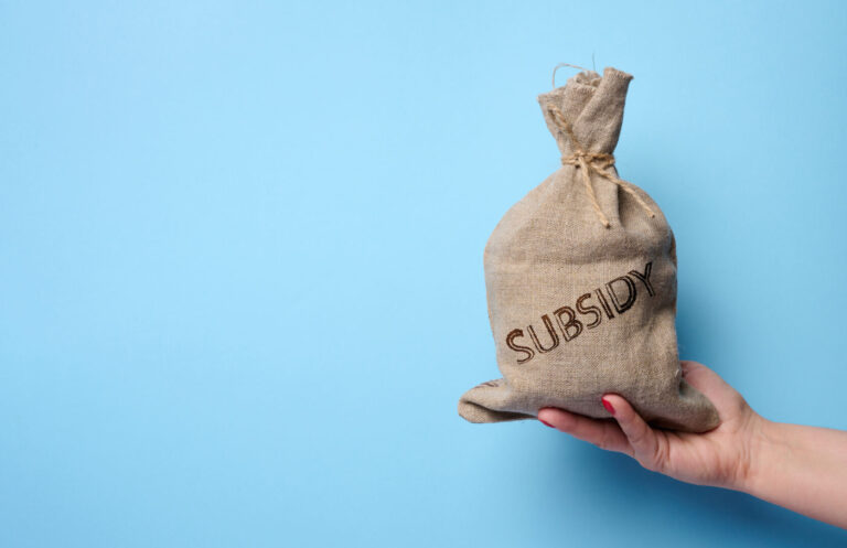 Subsidie batterij